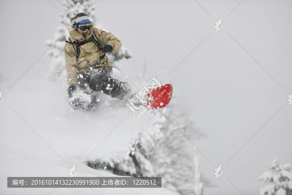 自由式滑雪