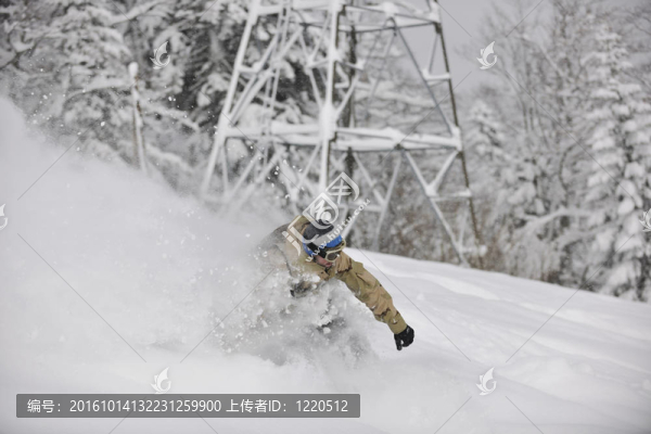自由式滑雪