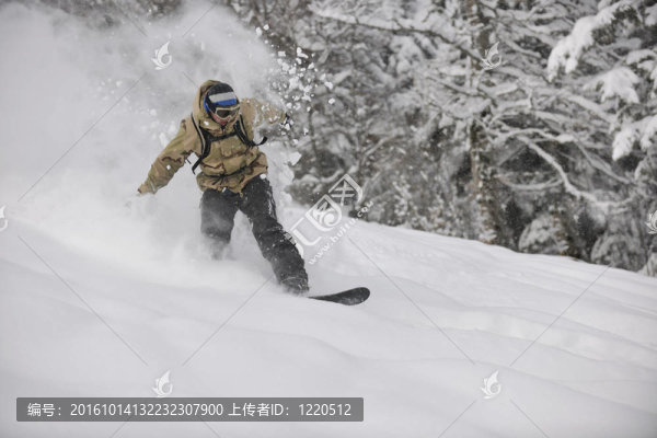 自由式滑雪