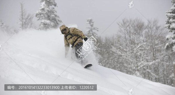 自由式滑雪