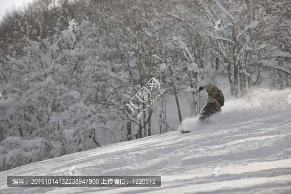 自由式滑雪