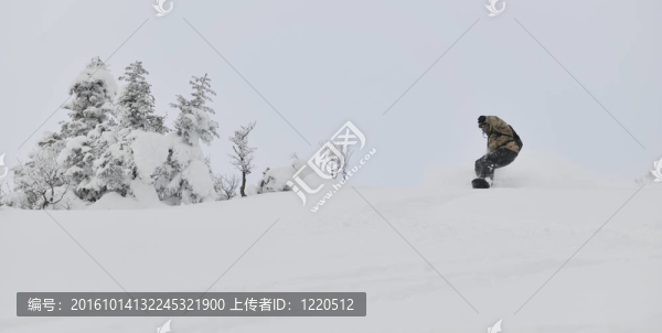 自由式滑雪