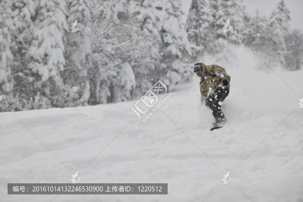 自由式滑雪