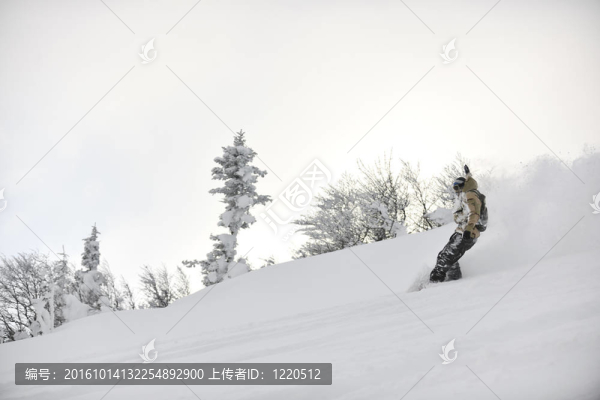 自由式滑雪