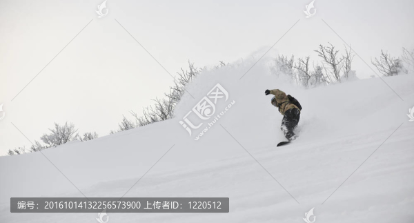 自由式滑雪