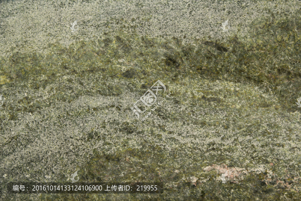 石紋