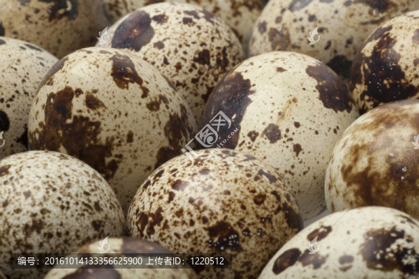 鵪鶉蛋全架