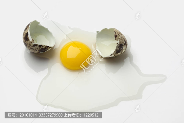 鵪鶉蛋破殼
