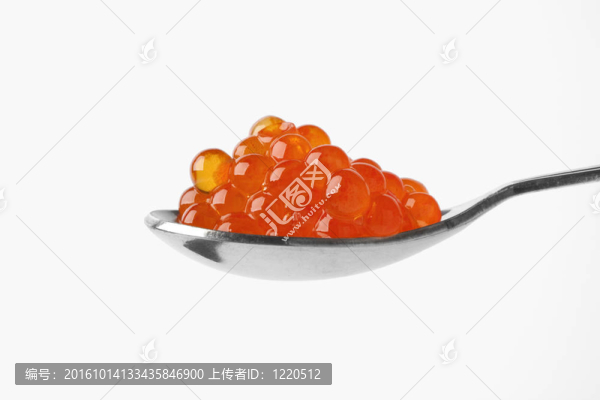 銀勺滿鮭魚魚子醬