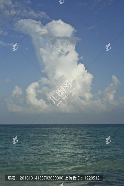 海洋的地平線