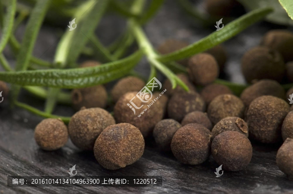 新鮮的迷迭香香