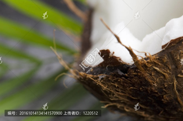 椰子和棕櫚葉。異國(guó)情調(diào)的場(chǎng)景