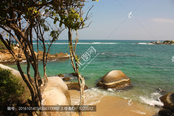加勒比海灘與熱帶森林。泰羅那國家公園。哥倫比亞