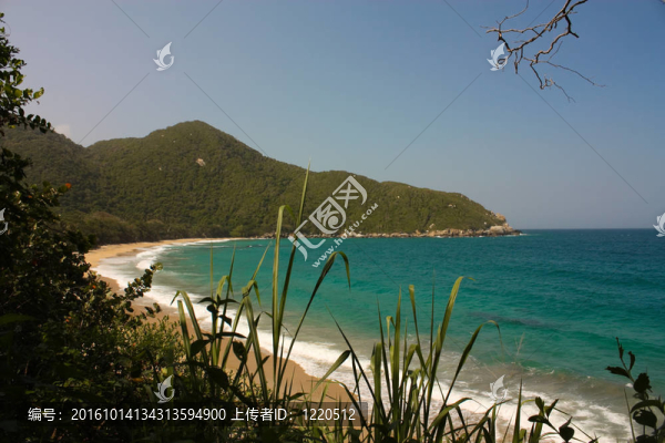 加勒比海灘與熱帶森林。泰羅那國家公園。哥倫比亞
