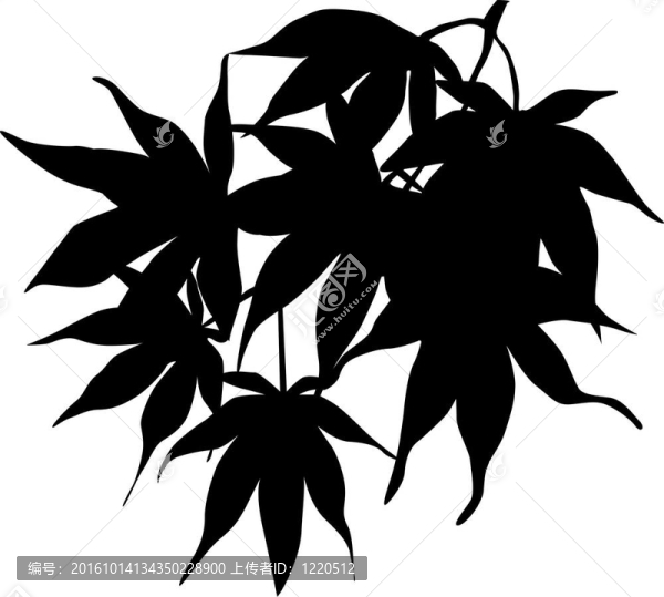 藝術(shù)illiustrator