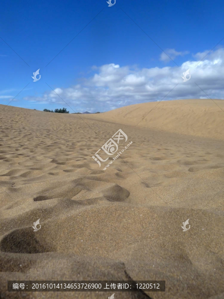 馬斯帕洛馬斯沙丘的風(fēng)景