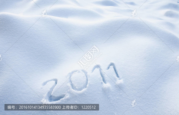 年2011