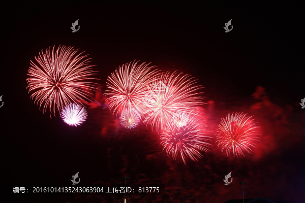 紅色花球綻放