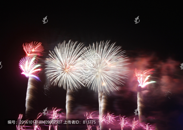 煙花樹(shù)