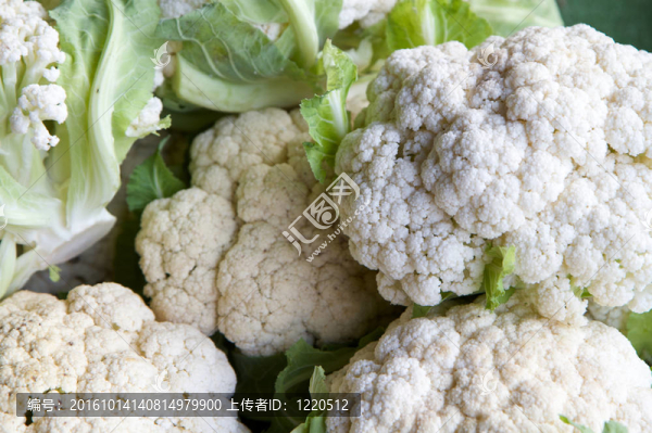 菜花頭