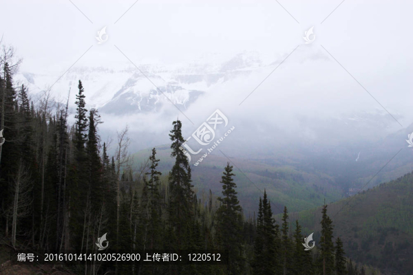 Hills和山