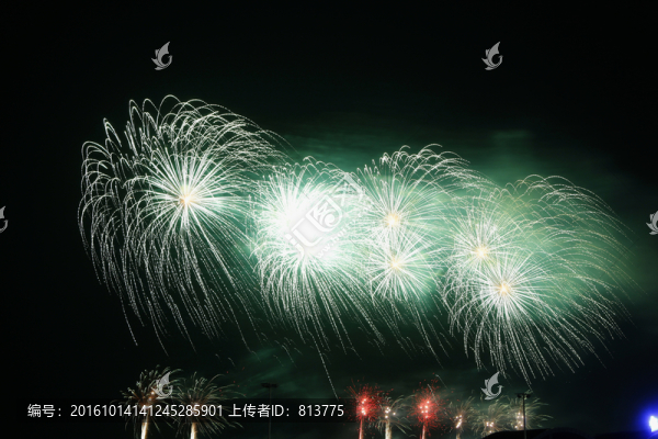 夜色煙火秀