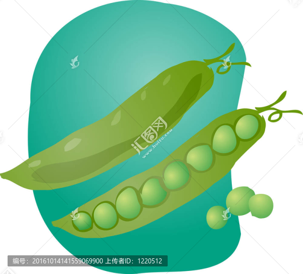 豌豆的插圖