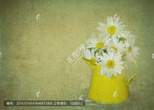 破碎的花瓣