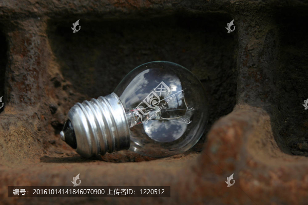 電燈泡
