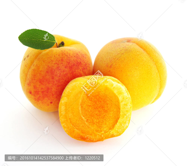 成熟的杏子