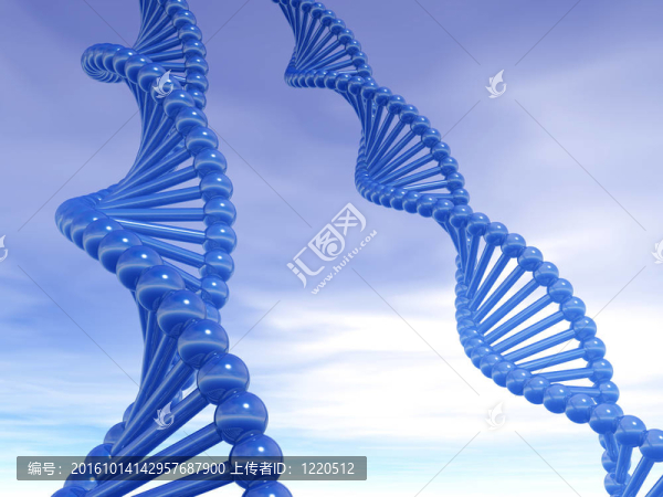 DNA鏈