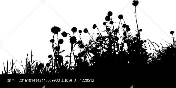 黑草的剪影