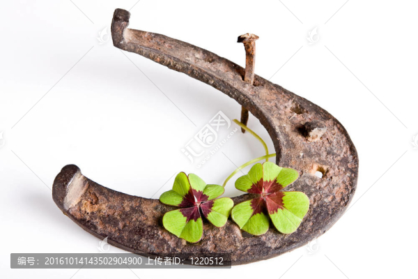 馬蹄與三葉草