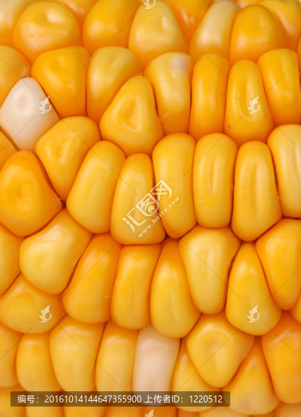 玉米