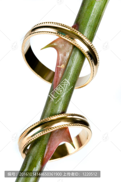 婚禮的荊棘