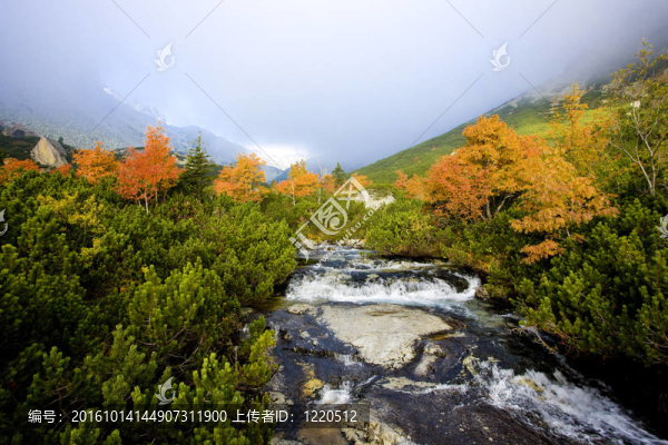 巨大的冷谷；Vysoke,Tatry（高水）；斯洛伐克