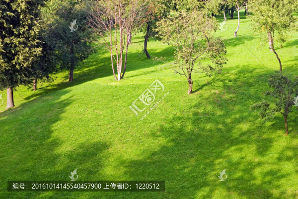 城市公園