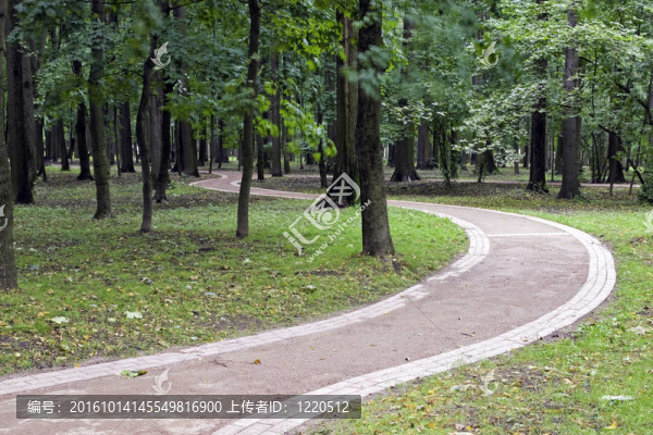 在公園的小徑