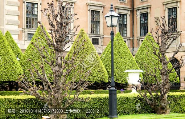 皇家花園