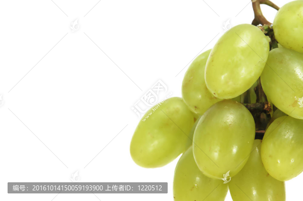 葡萄