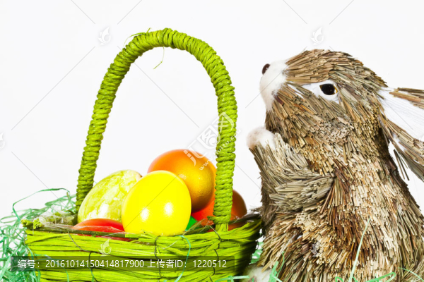 easterbunny雞蛋