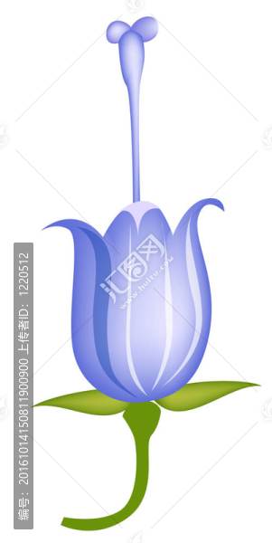 藍(lán)色的花蕾