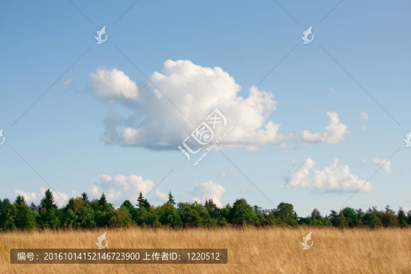 鄉(xiāng)村景觀全景。