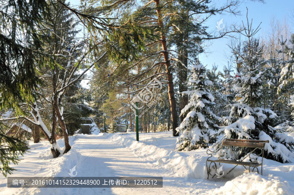 冬天的陽光公園