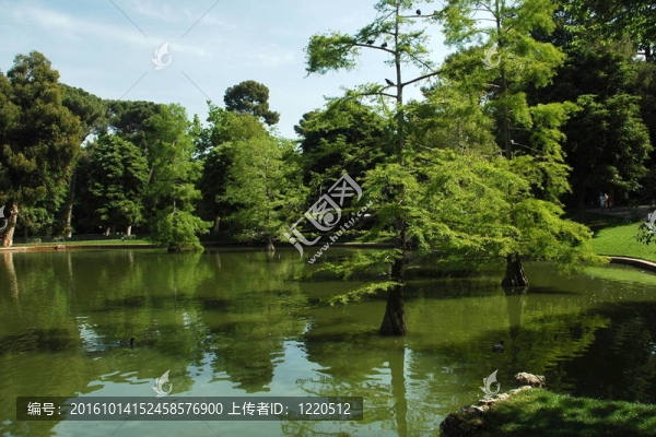 馬德里公園
