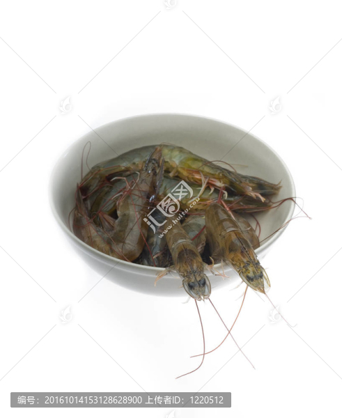 原料鮮蝦