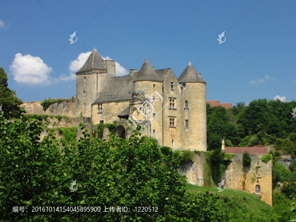 Salignac；Castle