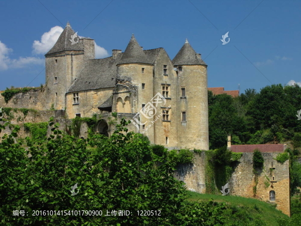 Salignac；Castle