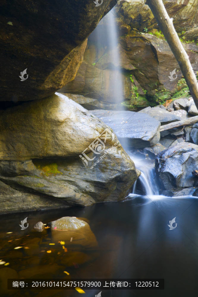 霧蒙蒙的秋天