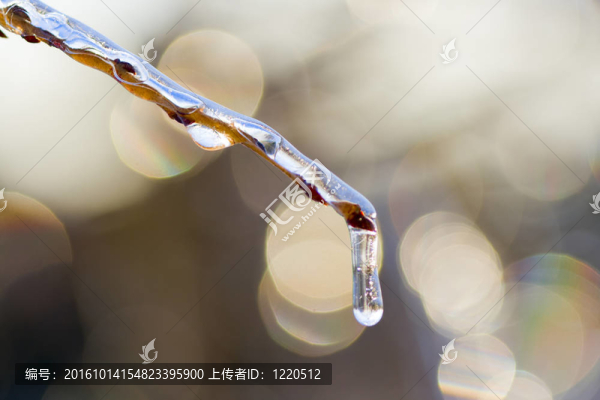 春天來了